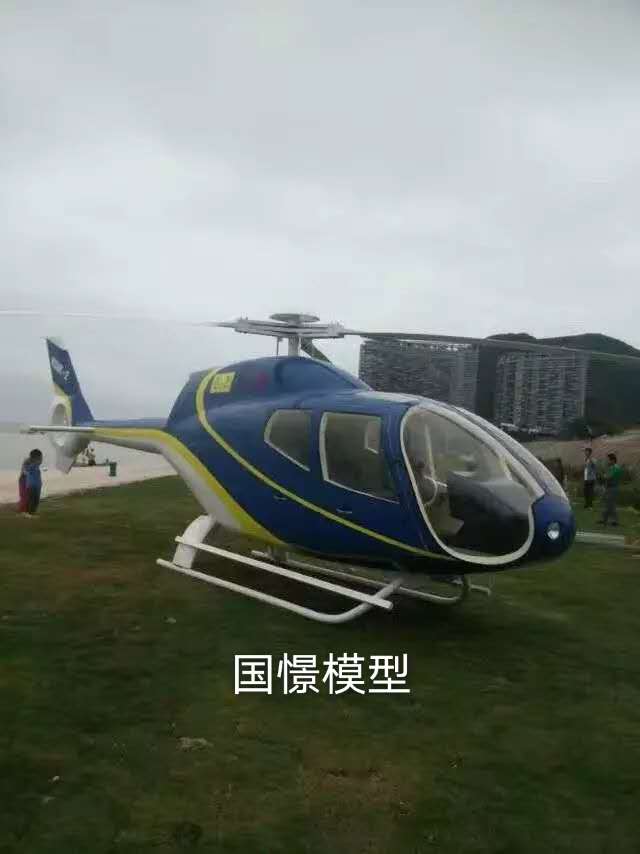 凤山县飞机模型